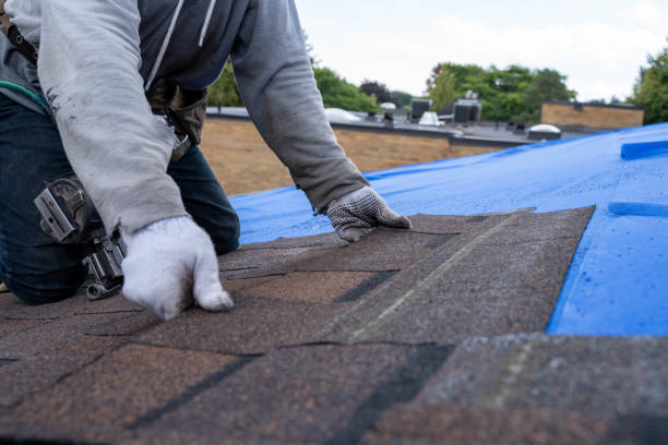 Trusted Brice Prairie, WI Roofing Contractor Experts